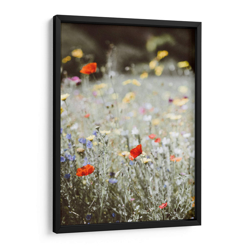 Amapolas silvestres | Cuadro decorativo de Canvas Lab