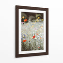 Amapolas silvestres | Cuadro decorativo de Canvas Lab