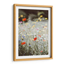 Amapolas silvestres | Cuadro decorativo de Canvas Lab