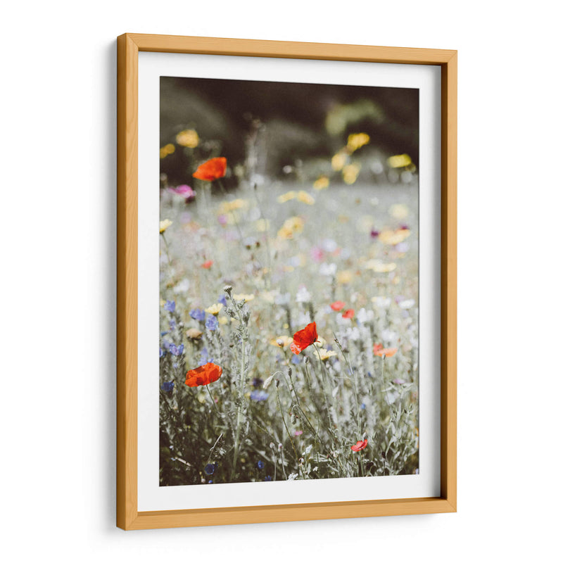 Amapolas silvestres | Cuadro decorativo de Canvas Lab