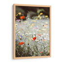 Amapolas silvestres | Cuadro decorativo de Canvas Lab
