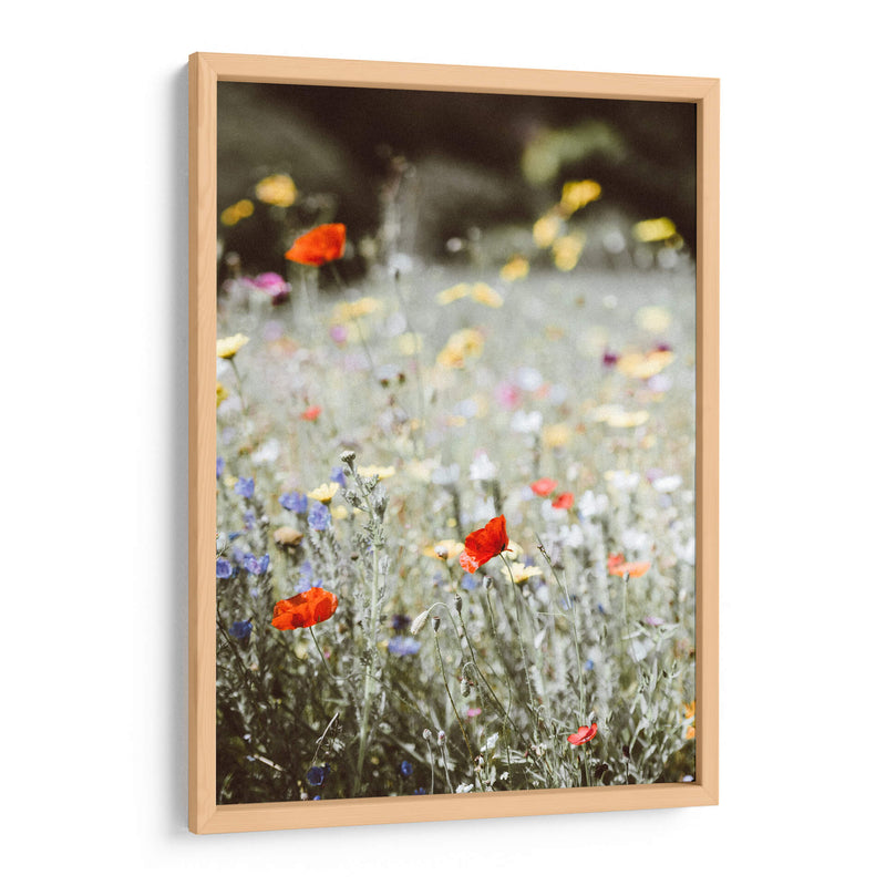 Amapolas silvestres | Cuadro decorativo de Canvas Lab