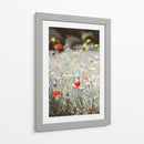 Amapolas silvestres | Cuadro decorativo de Canvas Lab