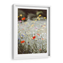 Amapolas silvestres | Cuadro decorativo de Canvas Lab