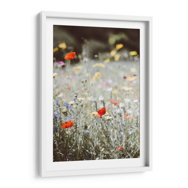 Amapolas silvestres | Cuadro decorativo de Canvas Lab
