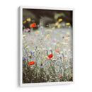 Amapolas silvestres | Cuadro decorativo de Canvas Lab