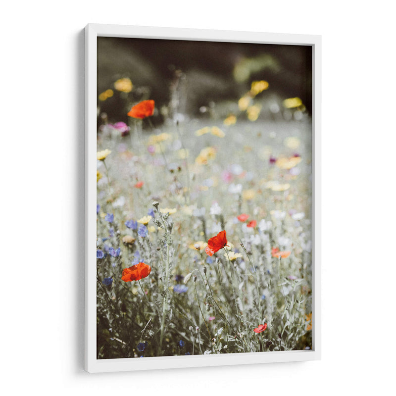 Amapolas silvestres | Cuadro decorativo de Canvas Lab