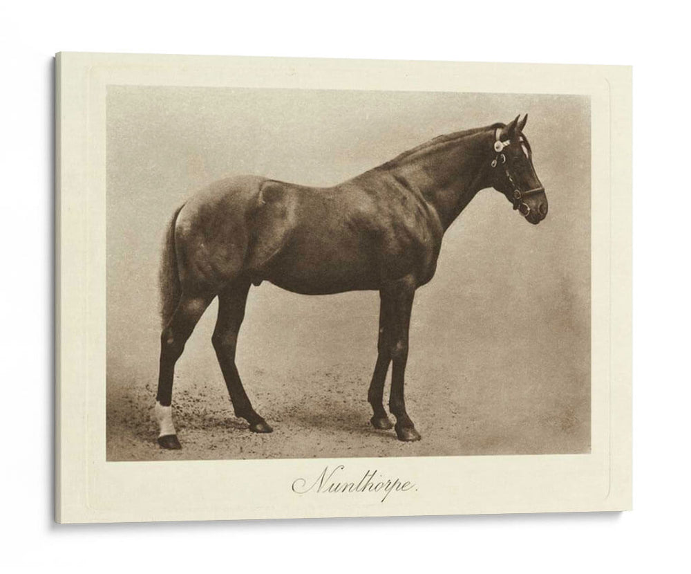 Nunthorpe - Clarence Hailey | Cuadro decorativo de Canvas Lab