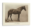Nunthorpe - Clarence Hailey | Cuadro decorativo de Canvas Lab