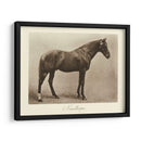 Nunthorpe - Clarence Hailey | Cuadro decorativo de Canvas Lab