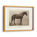 Nunthorpe - Clarence Hailey | Cuadro decorativo de Canvas Lab