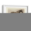 Nunthorpe - Clarence Hailey | Cuadro decorativo de Canvas Lab