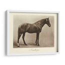 Nunthorpe - Clarence Hailey | Cuadro decorativo de Canvas Lab