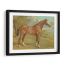 Cassells Pura Sangre I - Cassel | Cuadro decorativo de Canvas Lab