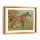 Cassells Pura Sangre I - Cassel | Cuadro decorativo de Canvas Lab