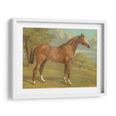 Cassells Pura Sangre I - Cassel | Cuadro decorativo de Canvas Lab