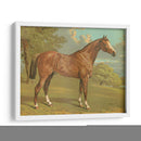 Cassells Pura Sangre I - Cassel | Cuadro decorativo de Canvas Lab