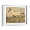 Cassells Pura Sangre Ii - Cassel | Cuadro decorativo de Canvas Lab