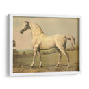 Cassells Pura Sangre Ii - Cassel | Cuadro decorativo de Canvas Lab