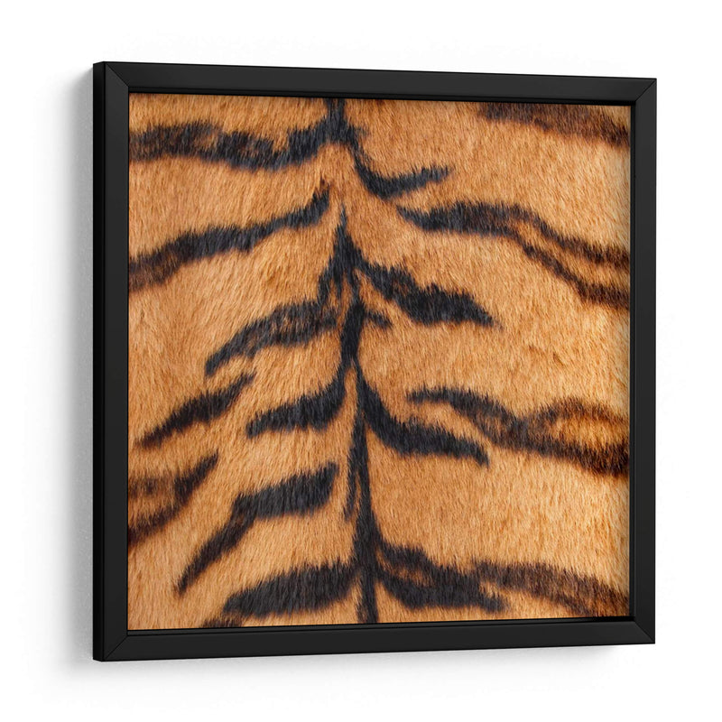 Instinto Animal Iii - Vision Studio | Cuadro decorativo de Canvas Lab