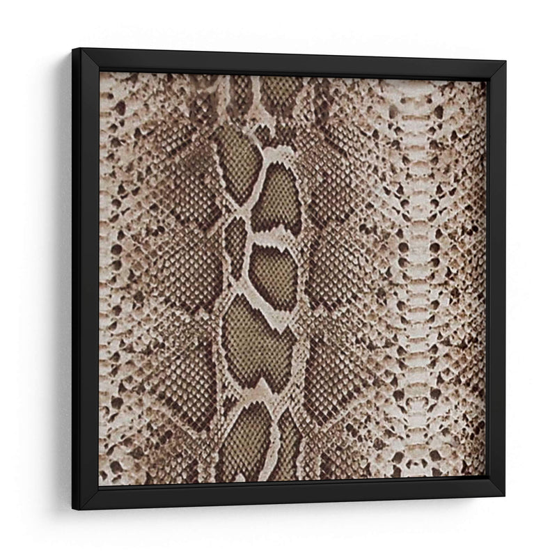 Instinto Animal V - Vision Studio | Cuadro decorativo de Canvas Lab