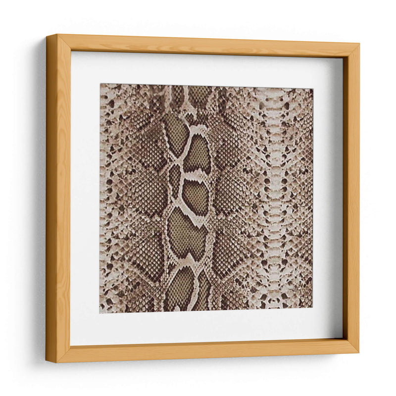 Instinto Animal V - Vision Studio | Cuadro decorativo de Canvas Lab