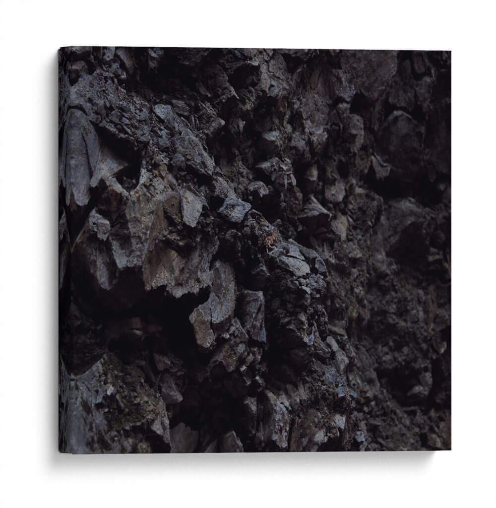 Roca negra | Cuadro decorativo de Canvas Lab