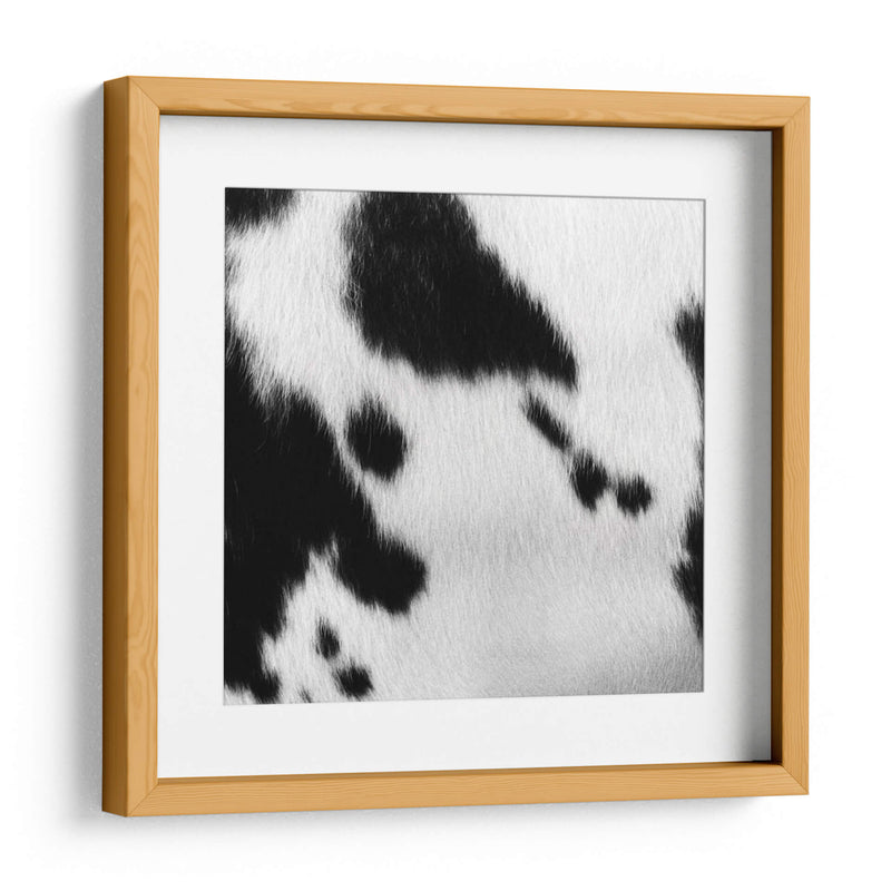 Instinto Animal Vi - Vision Studio | Cuadro decorativo de Canvas Lab