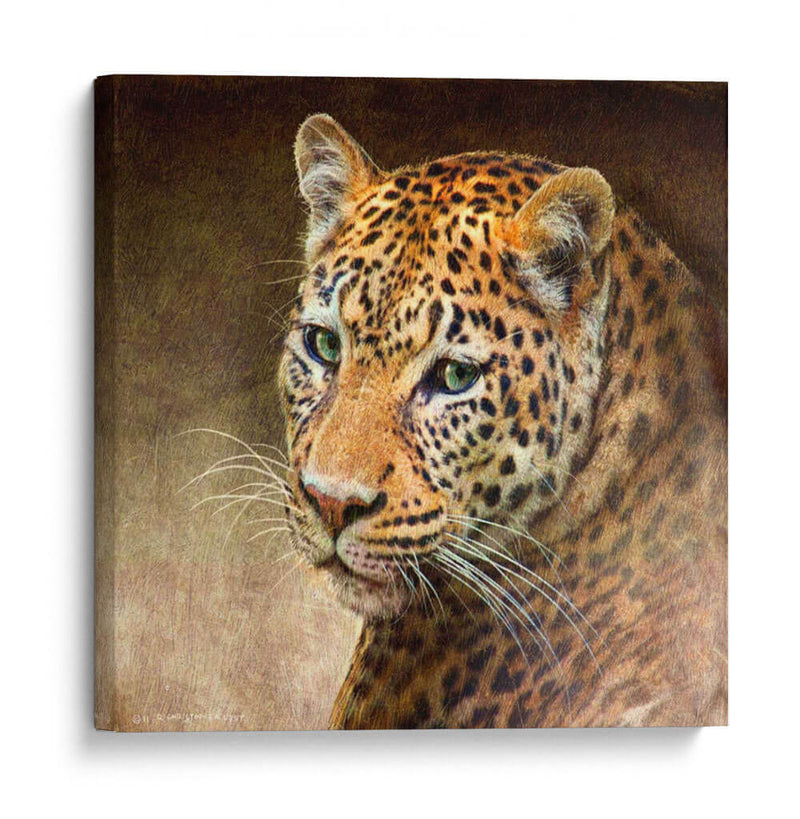Leopardo - Chris Vest | Cuadro decorativo de Canvas Lab