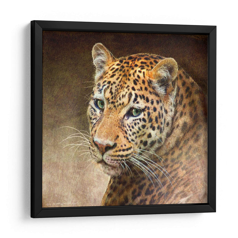 Leopardo - Chris Vest | Cuadro decorativo de Canvas Lab