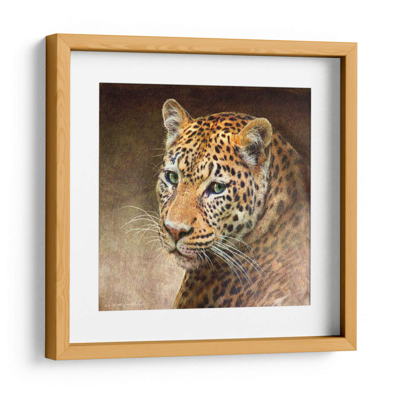 Leopardo - Chris Vest | Cuadro decorativo de Canvas Lab