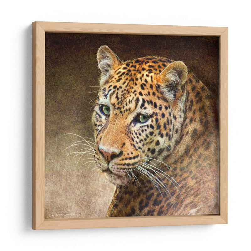 Leopardo - Chris Vest | Cuadro decorativo de Canvas Lab