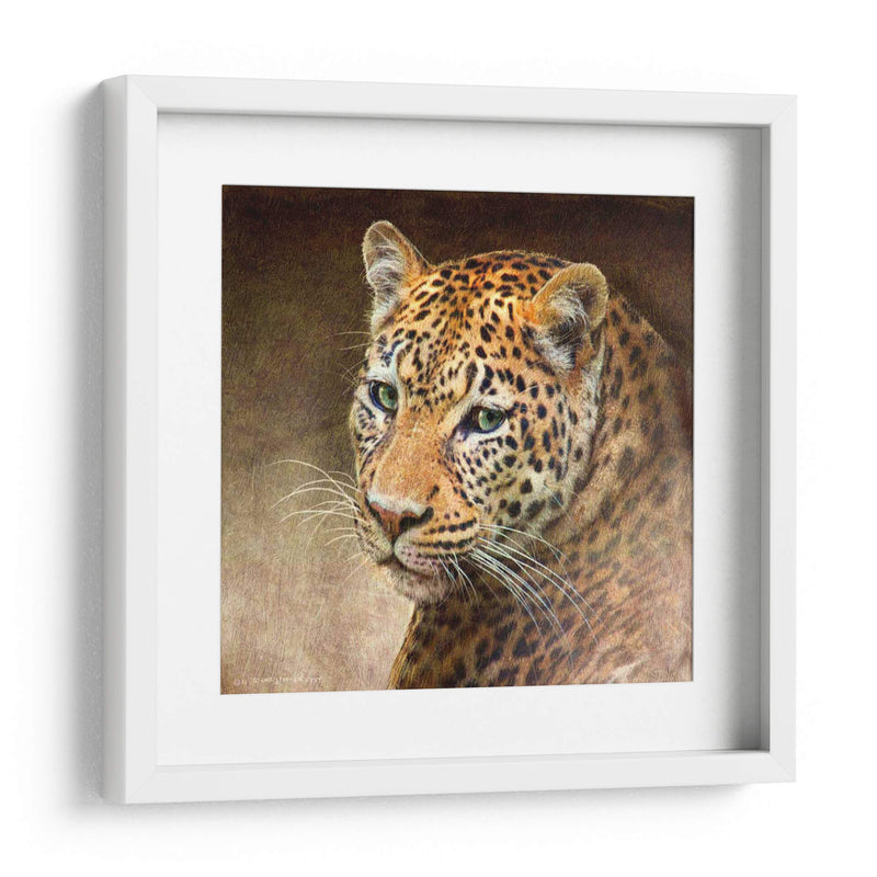 Leopardo - Chris Vest | Cuadro decorativo de Canvas Lab