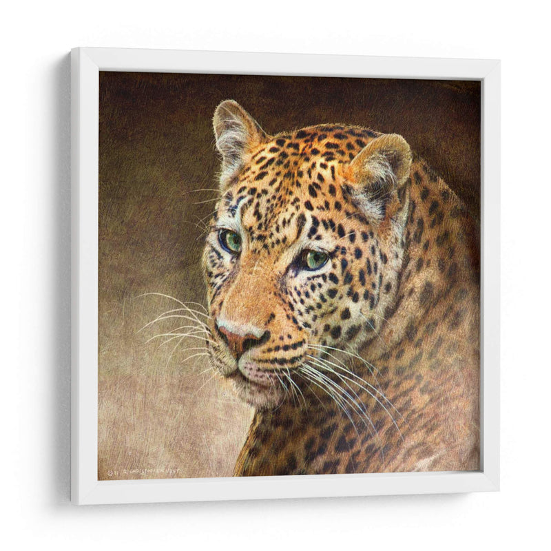 Leopardo - Chris Vest | Cuadro decorativo de Canvas Lab