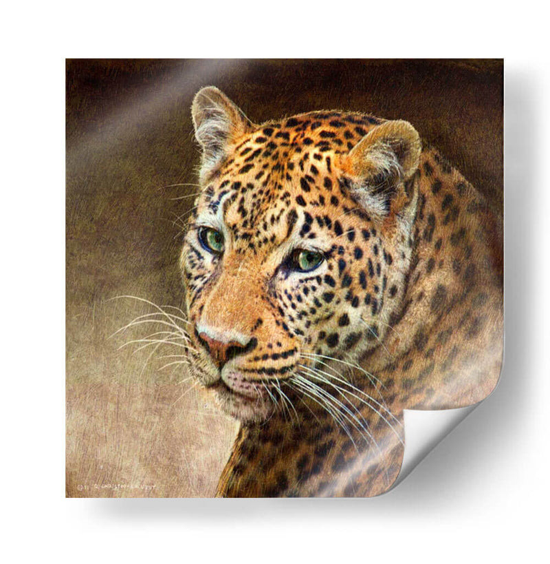 Leopardo - Chris Vest | Cuadro decorativo de Canvas Lab