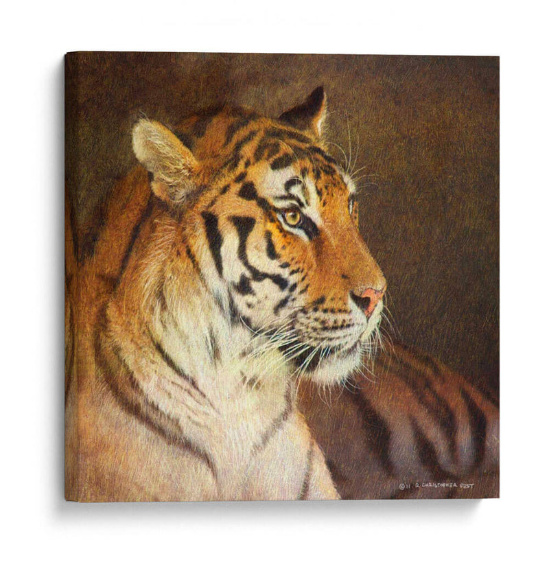 Tigre - Chris Vest | Cuadro decorativo de Canvas Lab