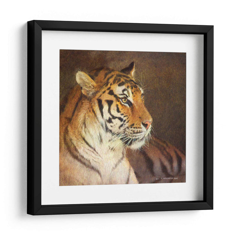 Tigre - Chris Vest | Cuadro decorativo de Canvas Lab