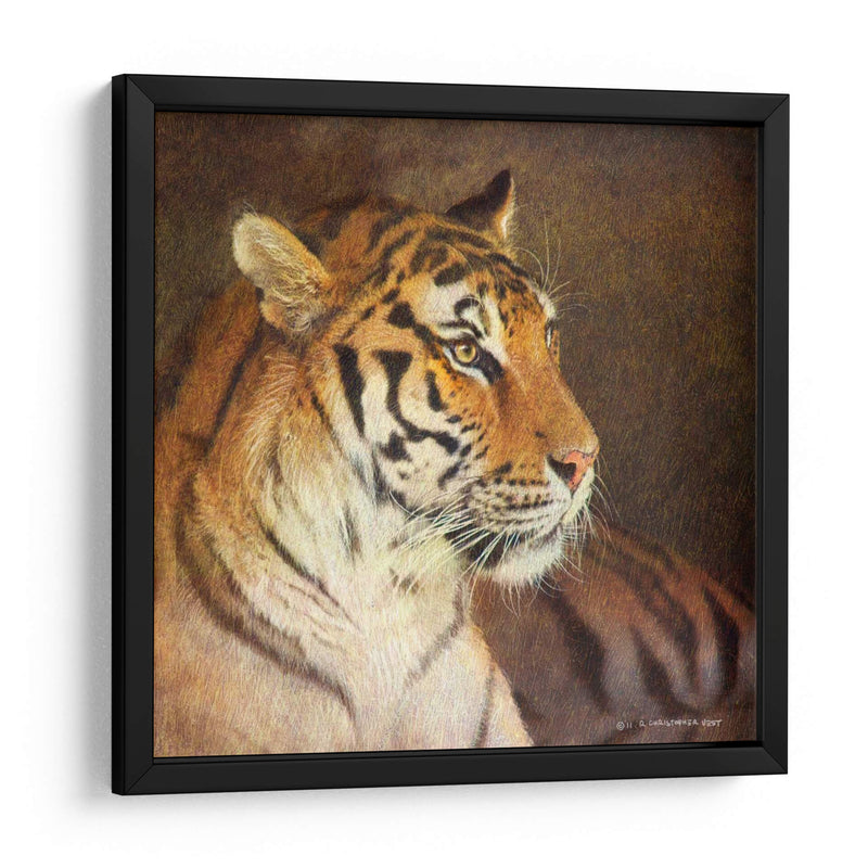 Tigre - Chris Vest | Cuadro decorativo de Canvas Lab