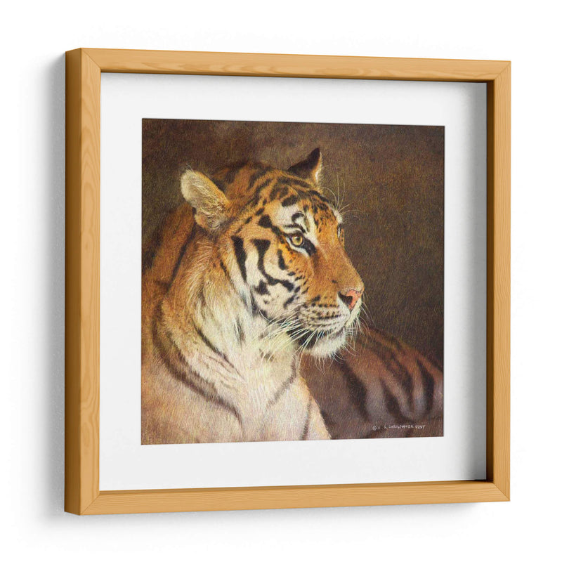 Tigre - Chris Vest | Cuadro decorativo de Canvas Lab