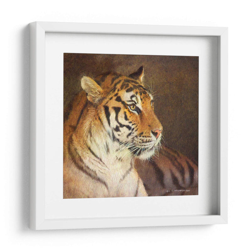 Tigre - Chris Vest | Cuadro decorativo de Canvas Lab