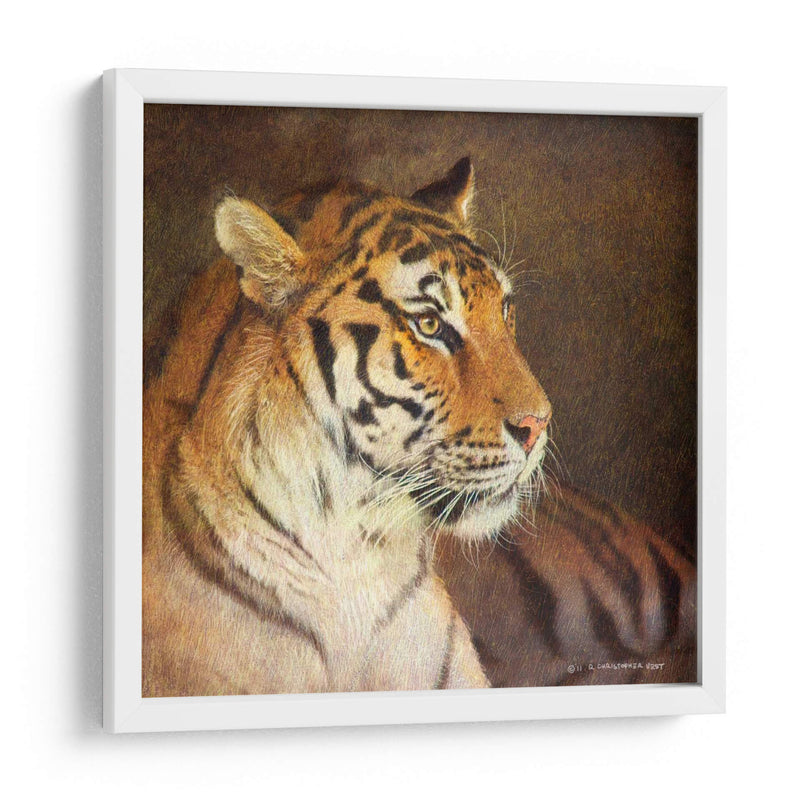 Tigre - Chris Vest | Cuadro decorativo de Canvas Lab