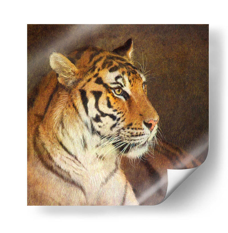 Tigre - Chris Vest | Cuadro decorativo de Canvas Lab