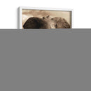 Serie De Animales Africanos - Elefante A - GI ArtLab | Cuadro decorativo de Canvas Lab