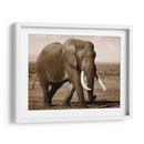 Serie De Animales Africanos - Elefante B - GI ArtLab | Cuadro decorativo de Canvas Lab