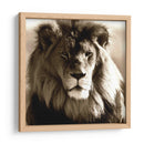 Serie De Animales Africanos - León C - GI ArtLab | Cuadro decorativo de Canvas Lab