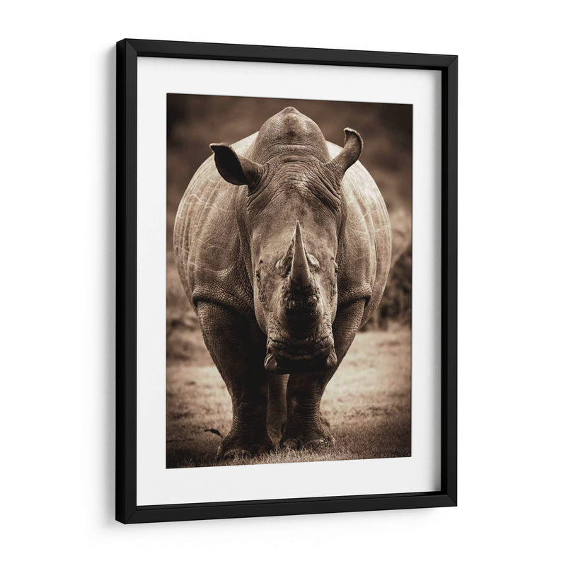 Serie De Animales Africanos - Rhino C - GI ArtLab | Cuadro decorativo de Canvas Lab