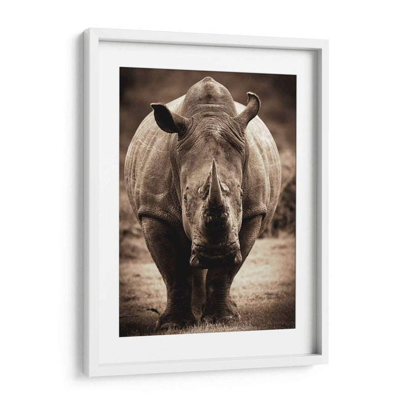 Serie De Animales Africanos - Rhino C - GI ArtLab | Cuadro decorativo de Canvas Lab