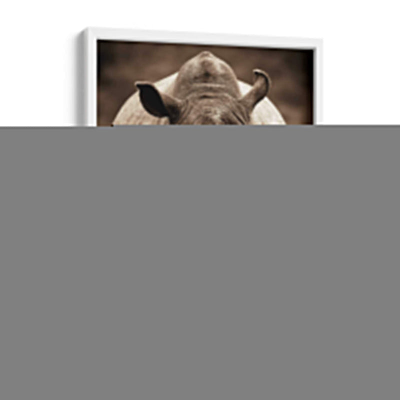 Serie De Animales Africanos - Rhino C - GI ArtLab | Cuadro decorativo de Canvas Lab