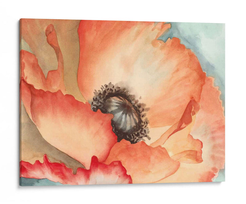 Acuarela Poppy Ii - Megan Meagher | Cuadro decorativo de Canvas Lab