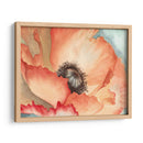 Acuarela Poppy Ii - Megan Meagher | Cuadro decorativo de Canvas Lab